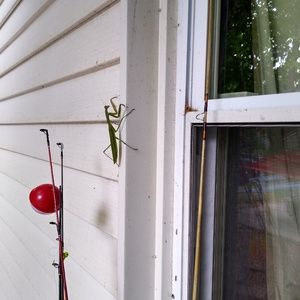 Meet your Posher, Jaime